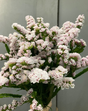 이미지를 갤러리 뷰어에 로드 , Limonium sinuatum  70cm 5Flowers  100pcs @60yen(FOB)
