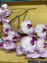이미지를 갤러리 뷰어에 로드 , Phalaenopsis midi Assort 20cm-  440yen/pcs(FOB)  20pcs
