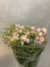 Load image into Gallery viewer, Freesia 50cm 95yen/pcs(FOB) 100pcs
