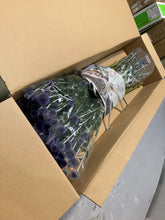 이미지를 갤러리 뷰어에 로드 , Echinops ritro 90cm 315yen/pcs(FOB)  40pcs
