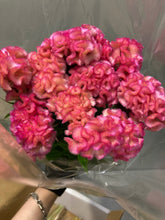 Load image into Gallery viewer, Celosia argentea 80cm 225yen/pcs(FOB) 100pcs
