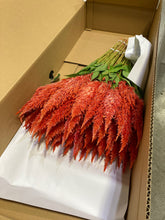 이미지를 갤러리 뷰어에 로드 , Celosia argentea  60cm 200pcs @65yen(FOB)
