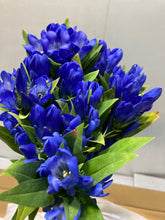 이미지를 갤러리 뷰어에 로드 , Gentiana scabra Blue 70cm 100yen/pcs 150pcs

