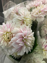 이미지를 갤러리 뷰어에 로드 , Dahlia 60cm 320yen/pcs(FOB)  40pcs

