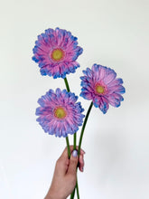 Load image into Gallery viewer, Gerbera Dyed 50cm 80pcs ＠190yen(FOB)/pcs
