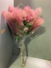 Load image into Gallery viewer, Cotinus Coggygria White 100cm 750yen/pcs 20pcs
