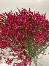 이미지를 갤러리 뷰어에 로드 , Limonium sinense 65cm  100yen/pcs(FOB)  100pcs
