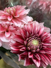 이미지를 갤러리 뷰어에 로드 , Dahlia 60cm 320yen/pcs(FOB)  40pcs

