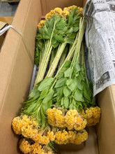 Load image into Gallery viewer, Celosia argentea 80cm 225yen/pcs(FOB) 100pcs
