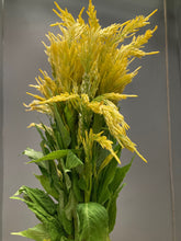 이미지를 갤러리 뷰어에 로드 , Celosia argentea  60cm 200pcs @65yen(FOB)
