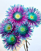 Load image into Gallery viewer, Gerbera Dyed 50cm 80pcs ＠190yen(FOB)/pcs
