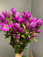 이미지를 갤러리 뷰어에 로드 , Gentiana scabra Pink 80cm @125yen(FOB)   100pcs
