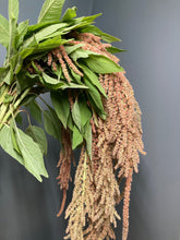 Load image into Gallery viewer, Amaranthus hypochondriacus 60cm 90pcs @150yen(FOB)
