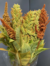 Load image into Gallery viewer, Amaranthus hypochondriacus 60cm 90pcs @150yen(FOB)
