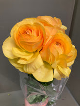 將圖片載入圖庫檢視器 Ranunculus 40-50cm 230yen/pcs 120pcs (Super)
