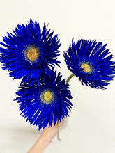 Load image into Gallery viewer, Gerbera Big  form Matsushita Engei 50cm 180pcs @165yen(FOB)
