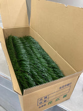 이미지를 갤러리 뷰어에 로드 , Cycas revoluta 110cm 90yen/pcs(FOB)   50pcs
