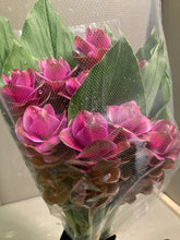 이미지를 갤러리 뷰어에 로드 , Curcuma  40-60cm 250yen/pcs 90pcs
