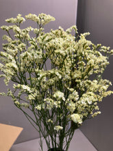 이미지를 갤러리 뷰어에 로드 , Limonium sinense 65cm  100yen/pcs(FOB)  100pcs
