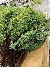 Load image into Gallery viewer, CNY/LNY2027  Spiraea cantoniensis 90cm 100pcs  280yen/pcs
