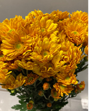 Load image into Gallery viewer, Chrysanthemum morifolium Spray 80cm 100pcs @90yen(FOB)
