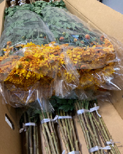 Load image into Gallery viewer, Chrysanthemum morifolium Spray 80cm 100pcs @90yen(FOB)

