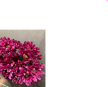 Load image into Gallery viewer, Chrysanthemum morifolium Spray 80cm 100pcs @90yen(FOB)
