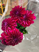 이미지를 갤러리 뷰어에 로드 , Dahlia 60cm 320yen/pcs(FOB)  40pcs
