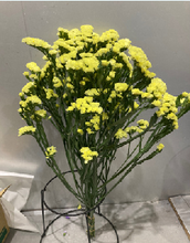 이미지를 갤러리 뷰어에 로드 , Limonium sinuatum  70cm 5Flowers  100pcs @60yen(FOB)
