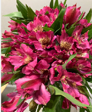 Load image into Gallery viewer, Alstroemeria　70cm 200pcs @215yen(FOB)
