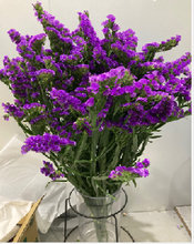 이미지를 갤러리 뷰어에 로드 , Limonium sinuatum  70cm 5Flowers  100pcs @60yen(FOB)

