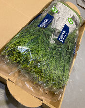 Load image into Gallery viewer, Solidago70cm 80pcs  @110yen(FOB)
