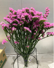 이미지를 갤러리 뷰어에 로드 , Limonium sinuatum  70cm 5Flowers  100pcs @60yen(FOB)
