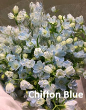 將圖片載入圖庫檢視器 Delphinium grandiflorum Spray 60cm 190yen/pcs 150pcs
