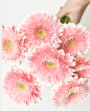 Load image into Gallery viewer, Gerbera form Matsushita Engei 40-50cm 300pcs @100yen(FOB)
