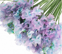 Load image into Gallery viewer, CNY/LNY2026 Lathyrus odoratus Dyed color 50cm  85yen/pcs 800pcs
