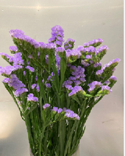 이미지를 갤러리 뷰어에 로드 , Limonium sinuatum  70cm 5Flowers  100pcs @60yen(FOB)
