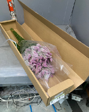 Load image into Gallery viewer, Celosia argentea  60cm 200pcs @65yen(FOB)
