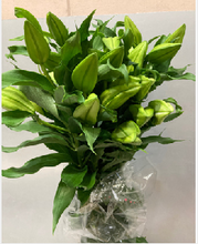 Load image into Gallery viewer, Lillum &quot;Propose&quot; 100cm 5FlowersUP @625yen/pcs(FOB) 20pcs
