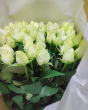 Load image into Gallery viewer, Rose &quot;Heguri rose&quot; 60cm 200pcs @190yen(FOB/pcs)
