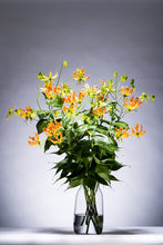 이미지를 갤러리 뷰어에 로드 , Gloriosa &#39;Zen&#39; 80cm 415yen 40pcs
