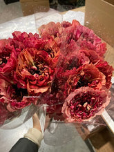 Load image into Gallery viewer, Ranunculus   Charlotte  (Super)  60cm 120pcs  250yen/pcs
