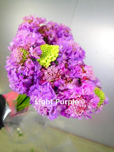 이미지를 갤러리 뷰어에 로드 , Scabiosa 50-55cm 75yen/pcs(FOB)  200pcs
