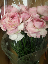 이미지를 갤러리 뷰어에 로드 , Ranunculus 40-50cm 215yen/pcs 120pcs (Super)
