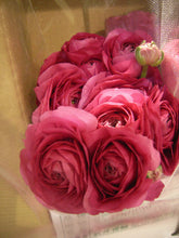 이미지를 갤러리 뷰어에 로드 , Ranunculus 40-50cm 215yen/pcs 120pcs (Super)
