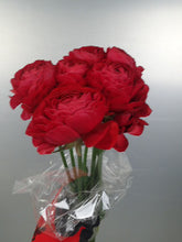 이미지를 갤러리 뷰어에 로드 , Ranunculus 40-50cm 215yen/pcs 120pcs (Super)
