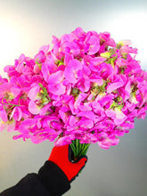 將圖片載入圖庫檢視器 Lathyrus latifolius  40cm 70yen/pcs 400pcs
