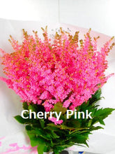 Load image into Gallery viewer, Astilbe Dyed color  50cm 150yen/pcs (FOB)  100pcs
