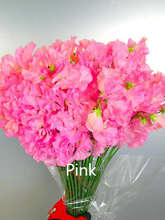 將圖片載入圖庫檢視器 CNY/LNY2025 Lathyrus odoratus 50cm  65yen/pcs 800pcs
