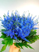 Load image into Gallery viewer, Astilbe Dyed color  50cm 150yen/pcs (FOB)  100pcs
